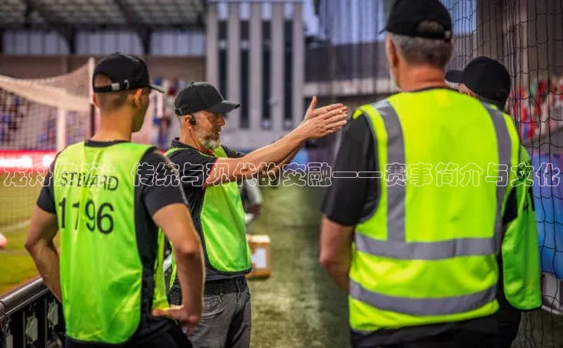 龙舟竞渡：传统与现代的交融——赛事简介与文化