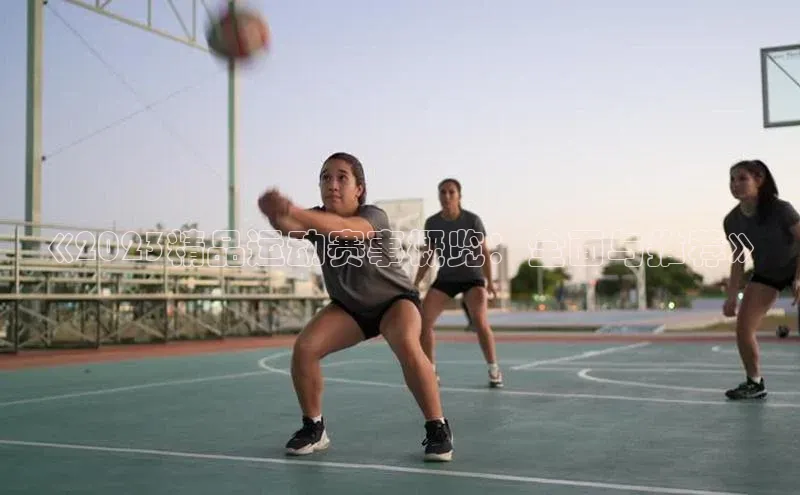 《2023精品运动赛事概览：全面与推荐》