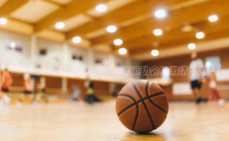 逐梦前行：鼓楼小学2026年运动会的激情与梦想